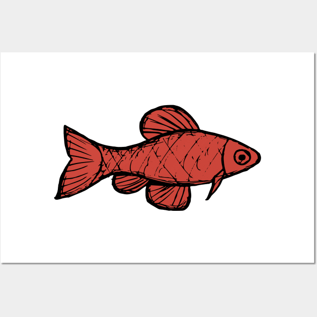 Cherry barb - freshwater aquarium fish Wall Art by DigitalShards